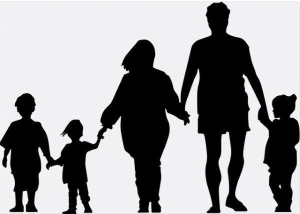 TP HCM chuẩn bị tổng kết 15 năm thi hành Luật Nuôi con nuôi