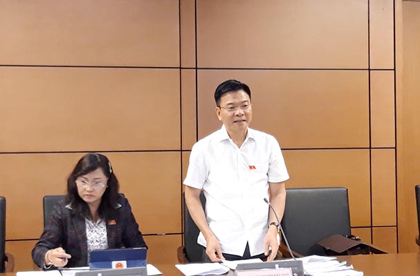 Thảo luận tại tổ về dự án Luật sửa đổi, bổ sung một số điều của Luật Xử lý VPHC