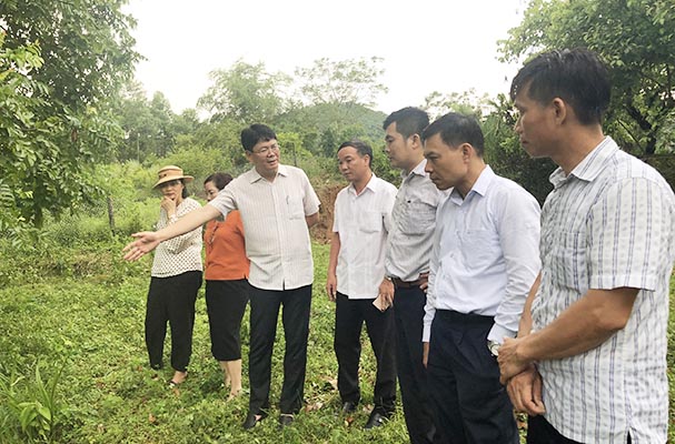 Kiểm tra công tác chỉnh trang Khu di tích lịch sử Bộ Tư pháp