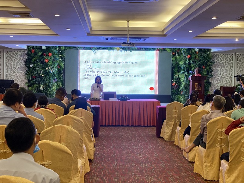Cục Con nuôi tập huấn nghiệp vụ đăng ký nuôi con nuôi trong nước