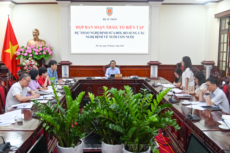 Đơn giản hóa thủ tục hành chính trong lĩnh vực nuôi con nuôi